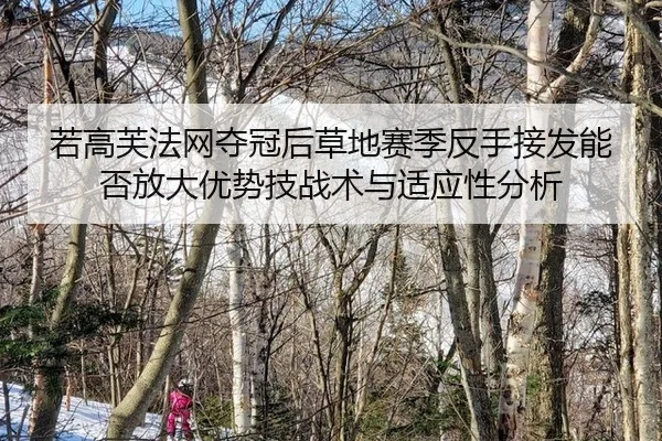 ruo-gao-fu-fa-wang-duo-guan-hou-cao-di-sai-ji-fan-shou-jie-fa-neng-fou-fang-da-you-shi-ji-zhan-shu-yu-shi-ying-xing-fen-2-367.jpg